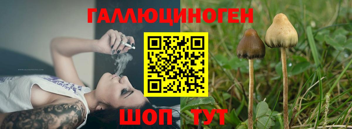 Псилоцибиновые грибы MAGIC MUSHROOMS Рассказово